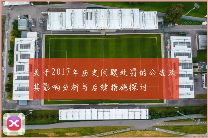 关于2017年历史问题处罚的公告及其影响分析与后续措施探讨