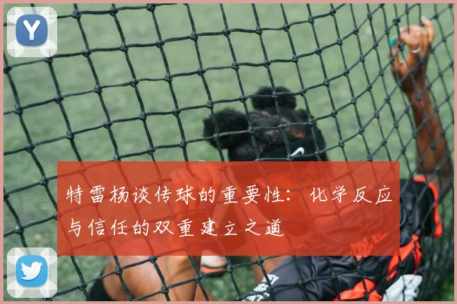 特雷杨谈传球的重要性：化学反应与信任的双重建立之道